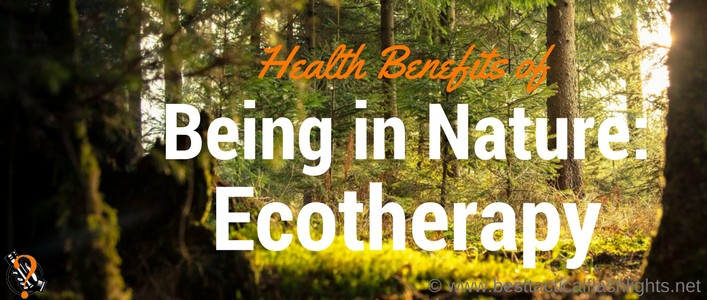Health Benefits of Being in Nature- Ecotherapy